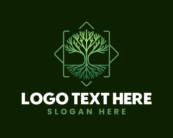 Nature Tree Roots